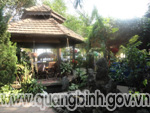 cafe Họa Mi