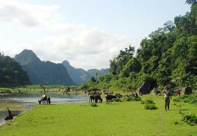 Nhưng đôi lúc lại bắt gặp những cảnh đẹp thanh bình giữa thiên nhiên