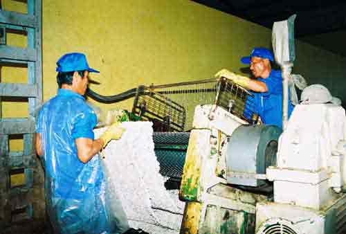 Processing rubber latex