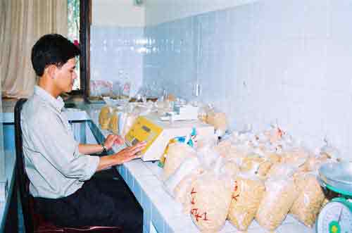 Seed production research
