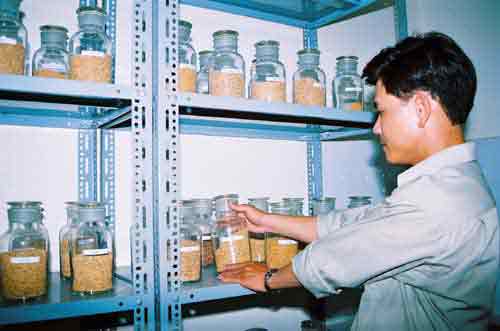 Seed production research