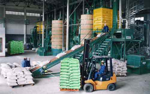 Seed production process