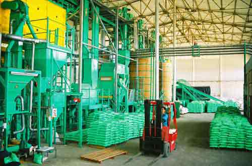 Seed production process