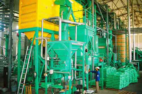 Seed production process