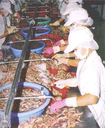 Processing aquatic products for export