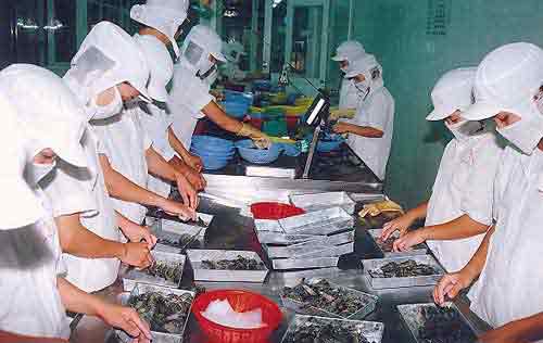Processing aquatic products for export