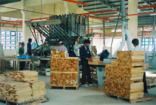 Processing wood