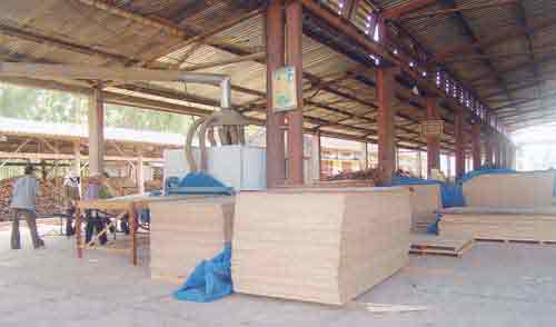 Processing wood