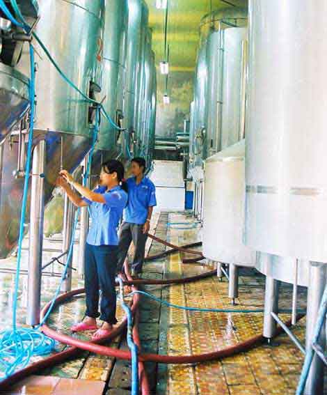 Brewery production process