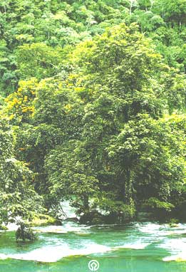 Moc water spring