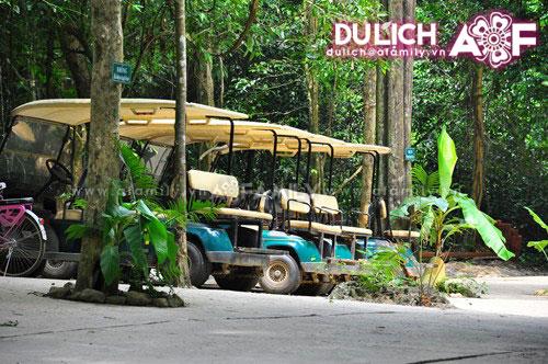 Những chiếc xe dẫn khách đến gần động Thiên Đường.